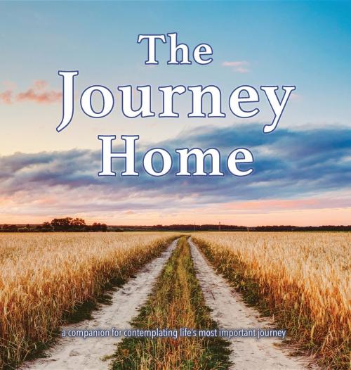 Cover of the book The Journey Home by Matthew D Thiele, Matthew Thiele