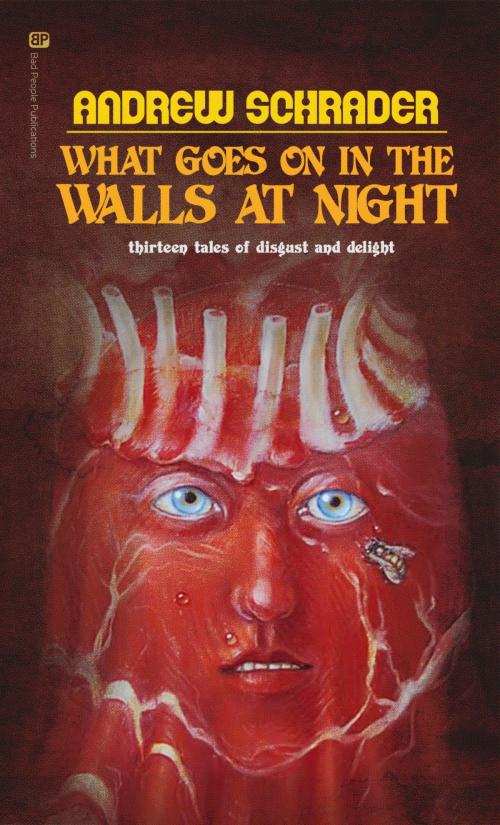 Cover of the book What Goes On In The Walls At Night by Andrew Schrader, Andrew Schrader