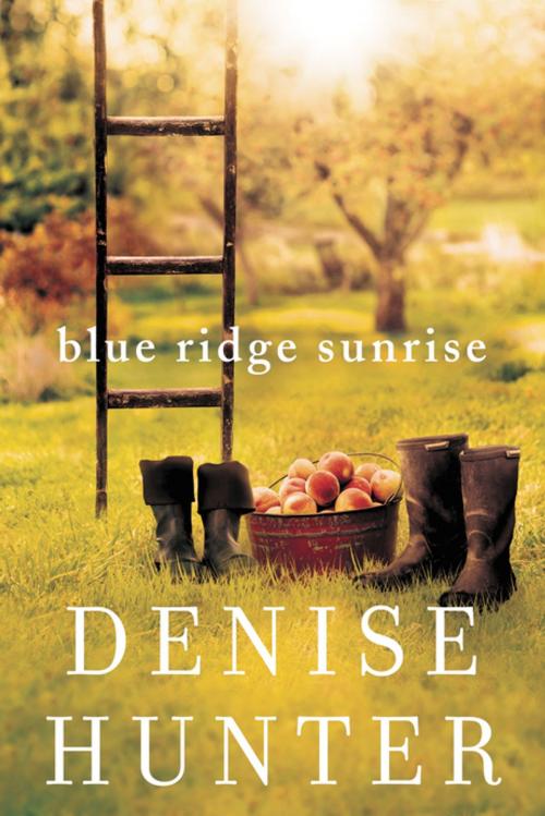 Cover of the book Blue Ridge Sunrise by Denise Hunter, Thomas Nelson