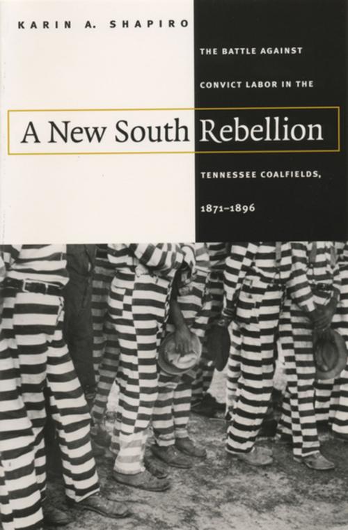 Cover of the book A New South Rebellion by Karin A. Shapiro, The University of North Carolina Press