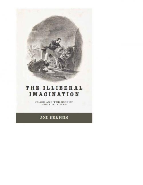 Cover of the book The Illiberal Imagination by Joe Shapiro, University of Virginia Press