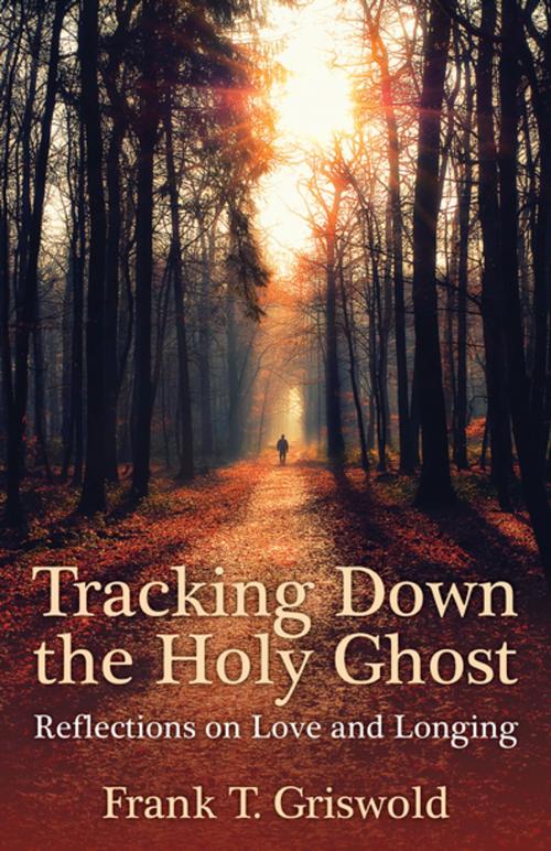 Cover of the book Tracking Down the Holy Ghost by Frank T. Griswold, Church Publishing Inc.