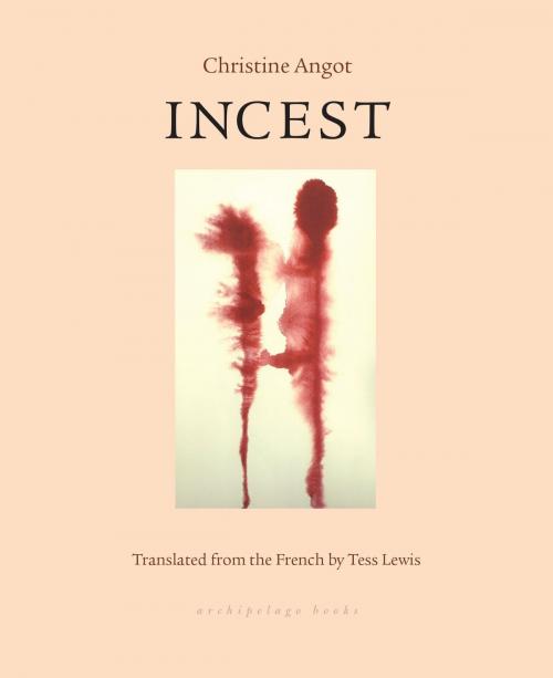 Cover of the book Incest by Christine Angot, Steerforth Press