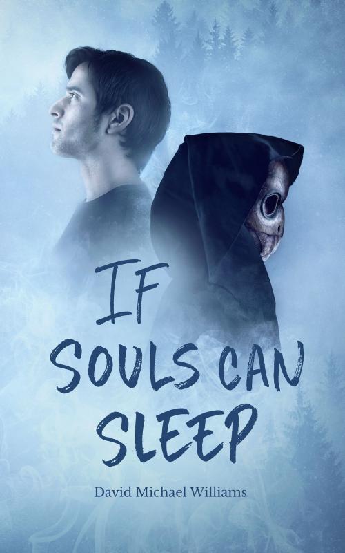 Cover of the book If Souls Can Sleep (Book One of The Soul Sleep Cycle) by David Michael Williams, David Michael Williams