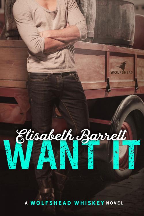 Cover of the book Want It by Elisabeth Barrett, Elisabeth Barrett