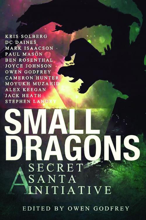 Cover of the book Small Dragons by D C Daines, Stephen Landry, Jack Heath, Secret Santa