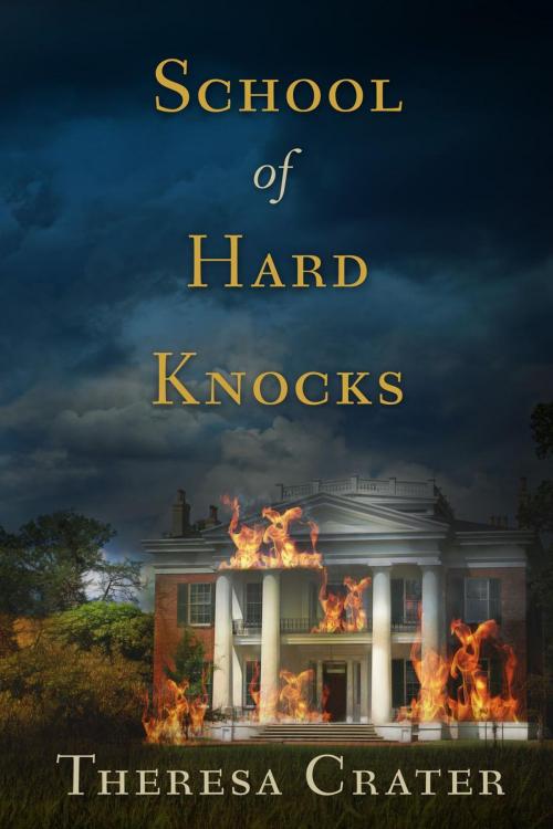 Cover of the book School of Hard Knocks by Theresa Crater, Theresa Crater