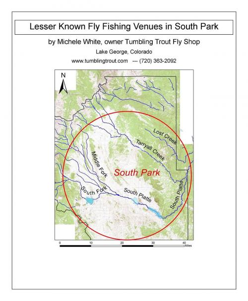Cover of the book Lesser Known Fly Fishing Venues in South Park, Colorado by Michele White, Much More Murray