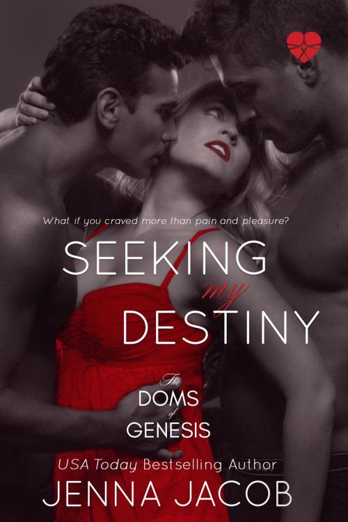 Cover of the book Seeking My Destiny by Jenna Jacob, Dream Words, LLC