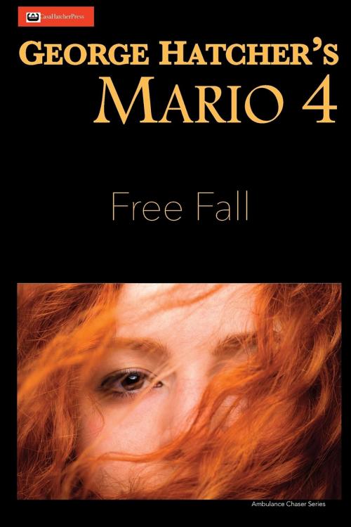 Cover of the book Mario 4 by George Hatcher, CasaHatcherPress