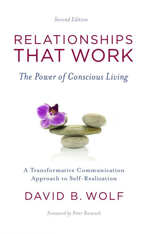 Cover of the book Relationships That Work: The Power of Conscious Living by David B. Wolf, Jahnava Dasi, Satvatove Institute