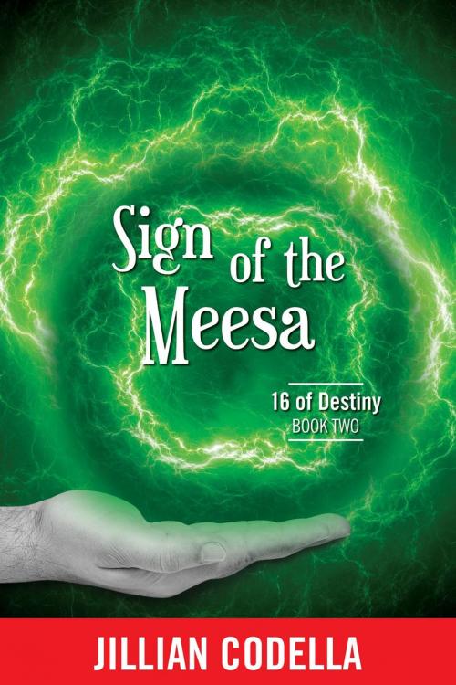 Cover of the book Sign of the Meesa by Jillian Codella, thewordverve inc