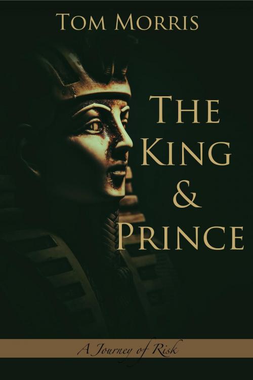 Cover of the book The King and Prince by Tom Morris, Wisdom/Works