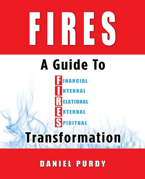 Cover of the book FIRES by Daniel Purdy, Daring Business Strategies, Inc.