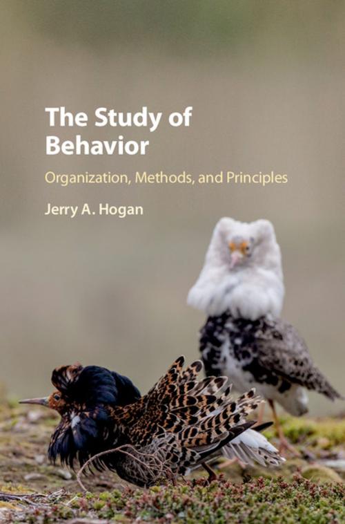 Cover of the book The Study of Behavior by Jerry A. Hogan, Cambridge University Press