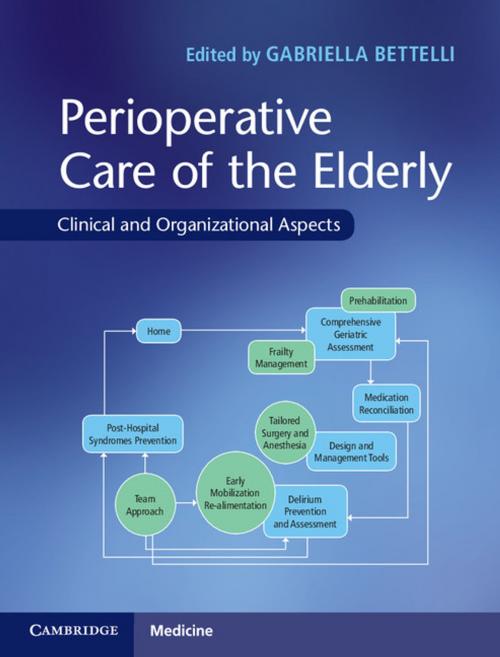 Cover of the book Perioperative Care of the Elderly by , Cambridge University Press