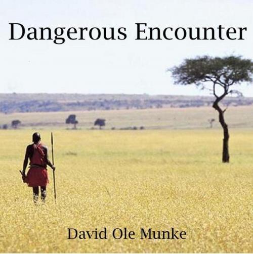 Cover of the book Dangerous Encounter by David Ole Munke, David Ole Munke