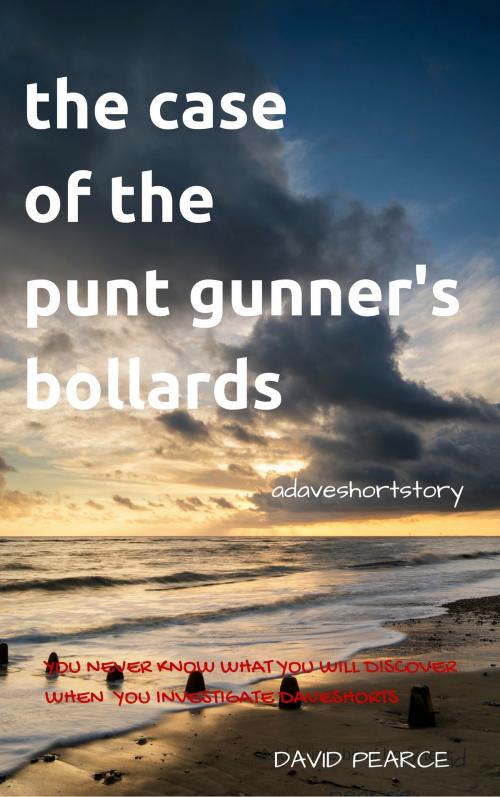 Cover of the book The Case of the Punt Gunner's Bollards by David Pearce, David Pearce