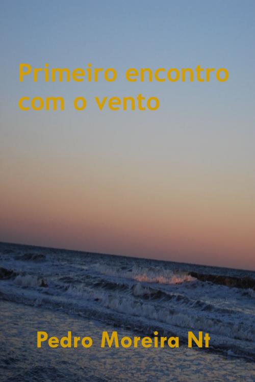 Cover of the book Primeiro encontro com o vento by Pedro Moreira Nt, Pedro Moreira Nt