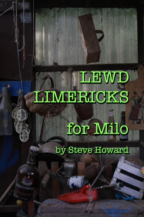 Cover of the book Lewd Limericks for Milo by Steve Howard, Steve Howard