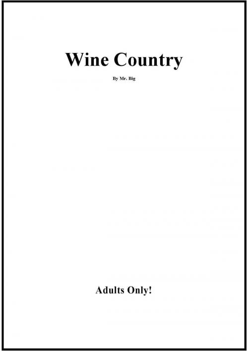 Cover of the book Wine Country by Mr Big, Mr Big