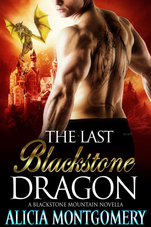Cover of the book The Last Blackstone Dragon by Alicia Montgomery, Eros Media