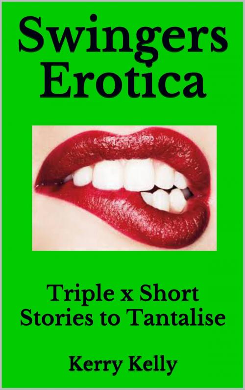 Cover of the book Swingers Erotica: More Triple X Stories to Tantalise by Kerry Kelly, Kerry Kelly