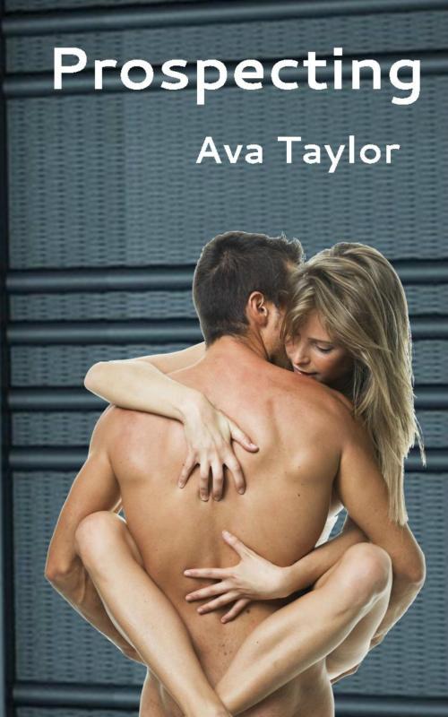 Cover of the book Prospecting by Ava Taylor, Ava Taylor