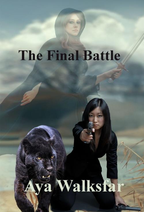 Cover of the book The Final Battle by Aya Walksfar, Aya Walksfar