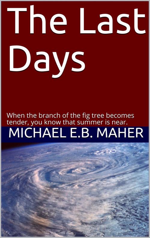 Cover of the book The Last Days by Michael Maher, Michael Maher