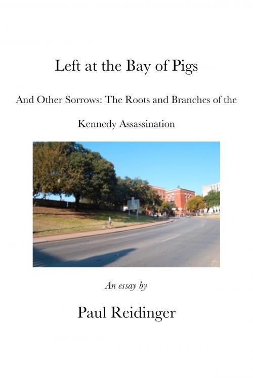 Cover of the book Left at the Bay of Pigs and Other Sorrows: The Roots and Branches of the Kennedy Assassination by Paul Reidinger, Paul Reidinger