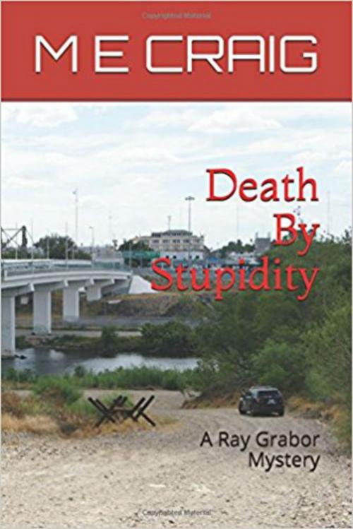 Cover of the book Death By Stupidity by Margaret Craig, Margaret Craig