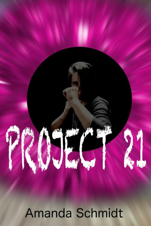 Cover of the book Project 21 by Amanda Schmidt, Amanda Schmidt