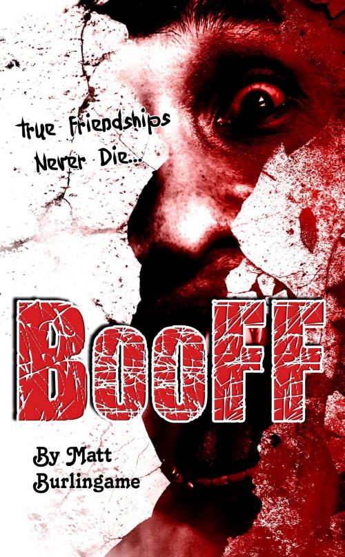 Cover of the book BooFF by Matt Burlingame, Matt Burlingame