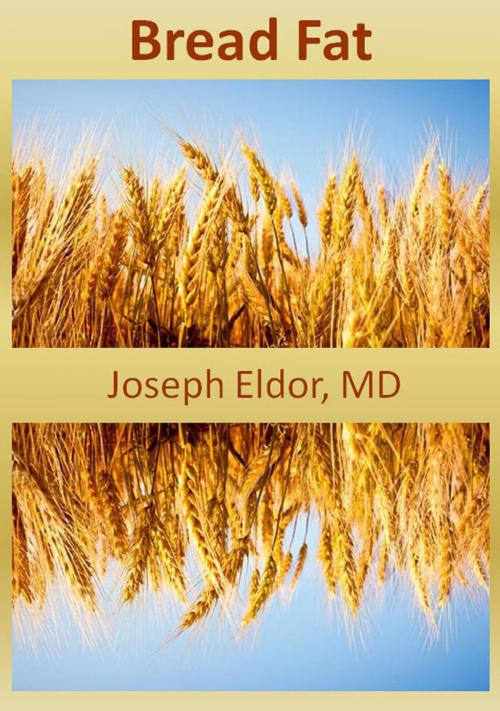Cover of the book Bread Fat by Joseph Eldor, Joseph Eldor