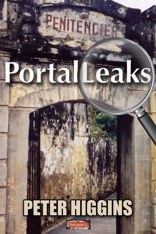 Cover of the book PortalLeaks by Peter Higgins, Peter Higgins