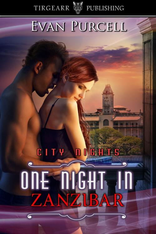 Cover of the book One Night in Zanzibar by Evan Purcell, Tirgearr Publishing