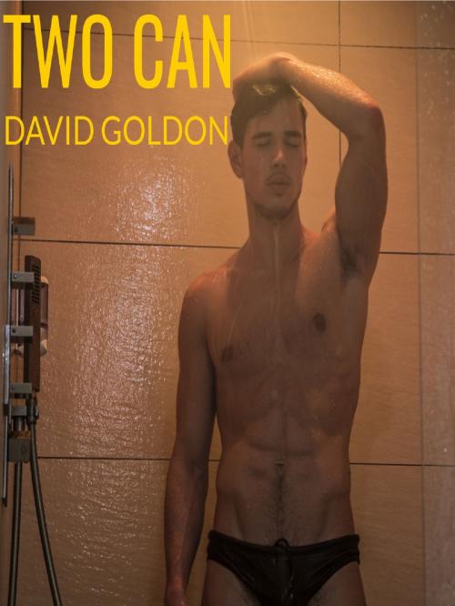 Cover of the book Two Can by David Goldon, David Goldon