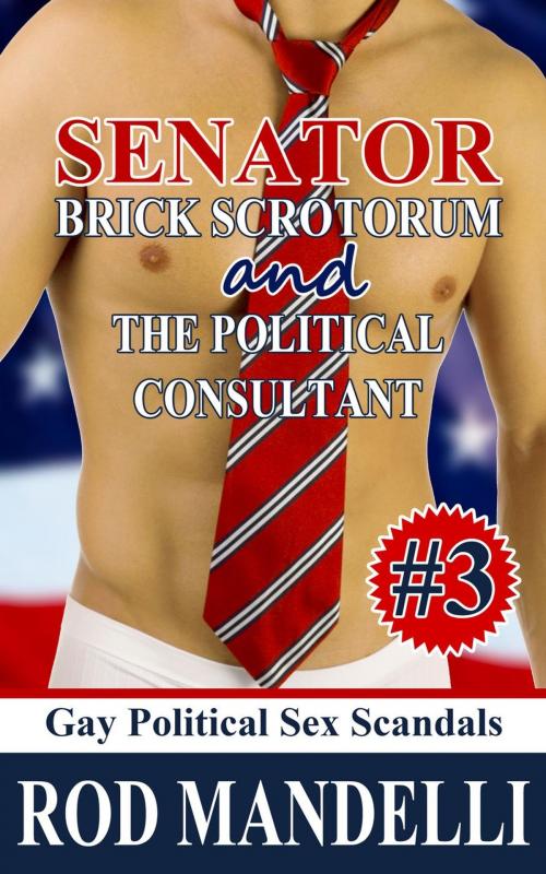 Cover of the book Senator Brick Scrotorum and the Political Consultant by Rod Mandelli, Gayrotica Press