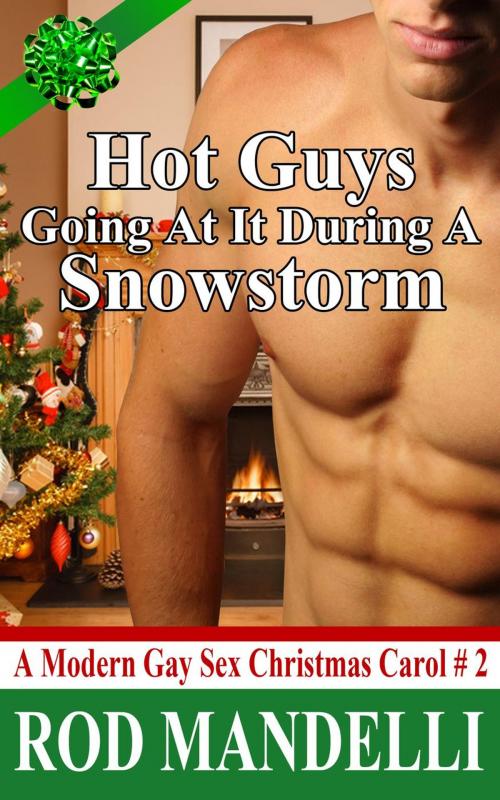 Cover of the book Hot Guys Going at it During a Snowstorm by Rod Mandelli, Gayrotica Press