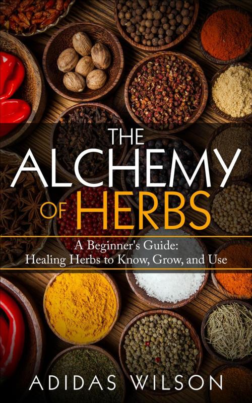 Cover of the book The Alchemy of Herbs - A Beginner's Guide: Healing Herbs to Know, Grow, and Use by Adidas Wilson, Adidas Wilson
