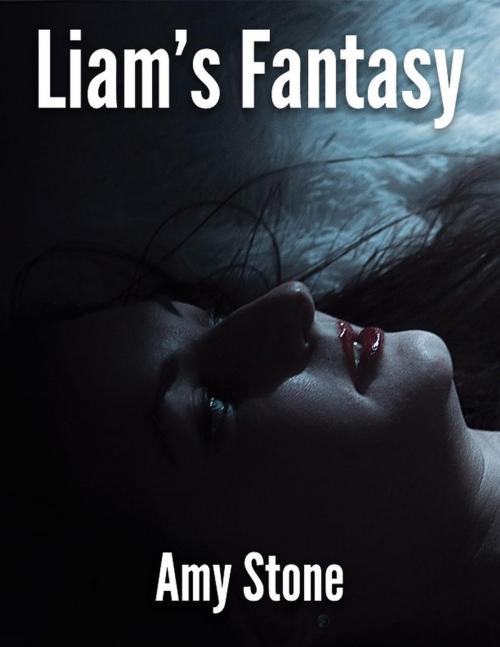 Cover of the book Liam's Fantasy by Amy Stone, Amy Stone