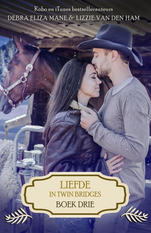 Cover of the book Liefde in Twin Bridges: boek drie by Debra Eliza Mane, Lizzie van den Ham, Dutch Venture Publishing