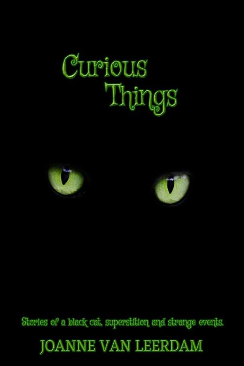 Cover of the book Curious Things by Joanne Van Leerdam, WordyNerdBird
