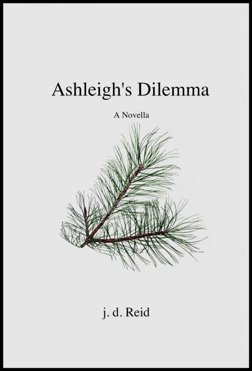 Cover of the book Ashleigh's Dilemma by j. d. Reid, Wolfe Island Press