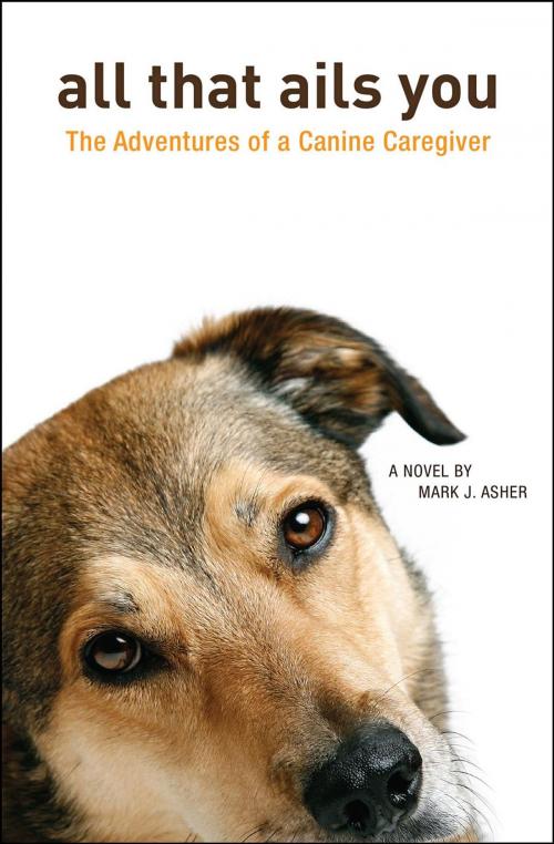 Cover of the book All That Ails You: The Adventures of a Canine Caregiver by Mark J. Asher, Mark Asher