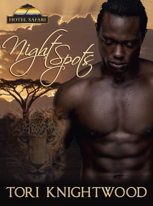 Cover of the book Night Spots by Tori Knightwood, Tori Knightwood