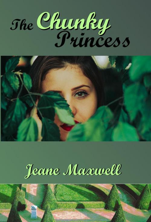Cover of the book The Chunky Princess by Jeane Maxwell, JN James