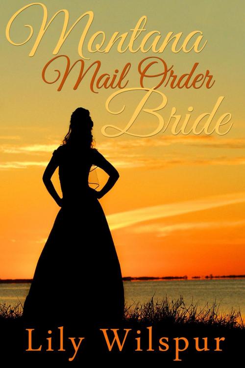 Cover of the book Montana Mail Order Bride by Lily Wilspur, Wilspur Publishing