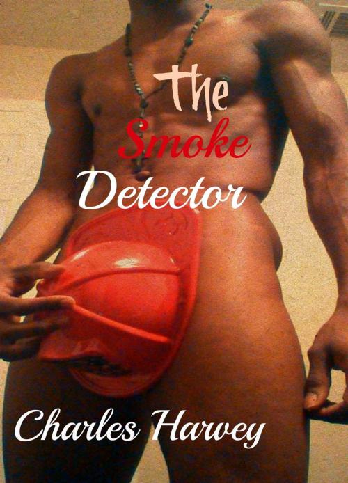 Cover of the book The Smoke Detector by Charles Harvey, Wes Writers and Publishers